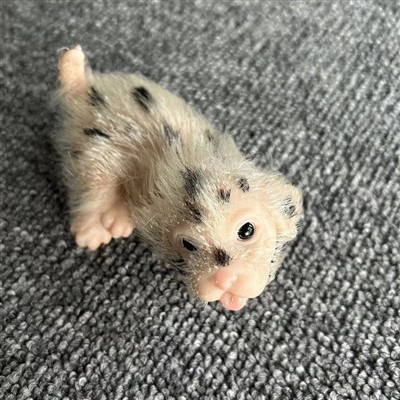 Apakah boneka hewan reborn rentan terhadap penumpukan debu?